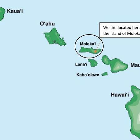Molokai Island Retreat With Beautiful Ocean Views And Pool - Newly Remodeled! Apartment Ualapue Exterior photo