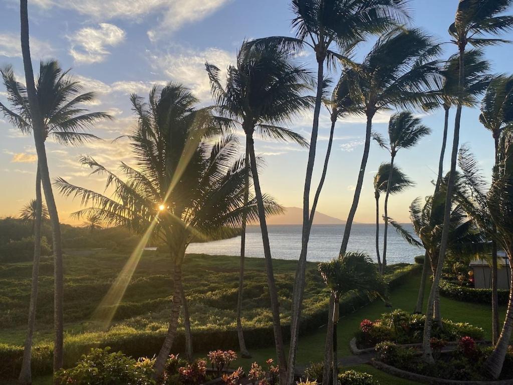 Molokai Island Retreat With Beautiful Ocean Views And Pool - Newly Remodeled! Apartment Ualapue Exterior photo